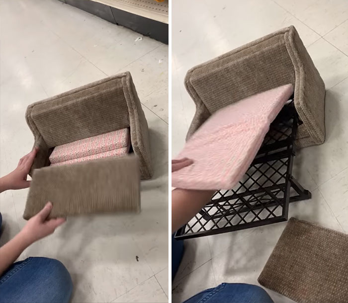 Found In The Toy Section Of The Arc In Colorado Springs It Did Not Come Home With Me