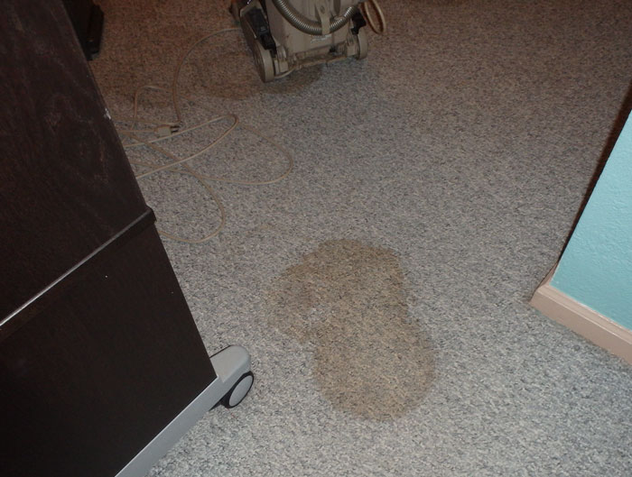 45 People Share The Most Obvious Things They Had To Explain To Fellow Adults