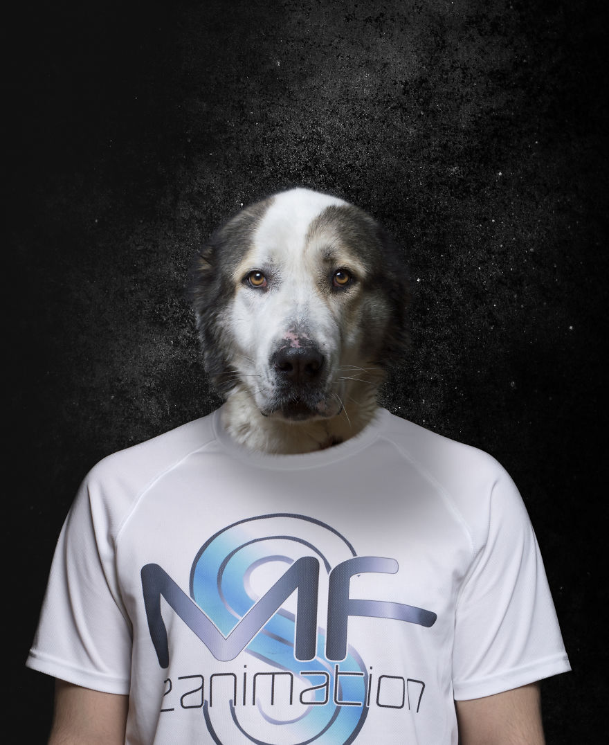 Bulgarian Photographer Creates Unique Photo Collages