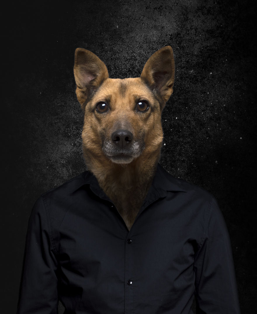 Bulgarian Photographer Creates Unique Photo Collages