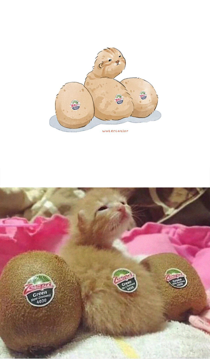 Digital-Watercolor-Cat-Paintings-Watercatlor