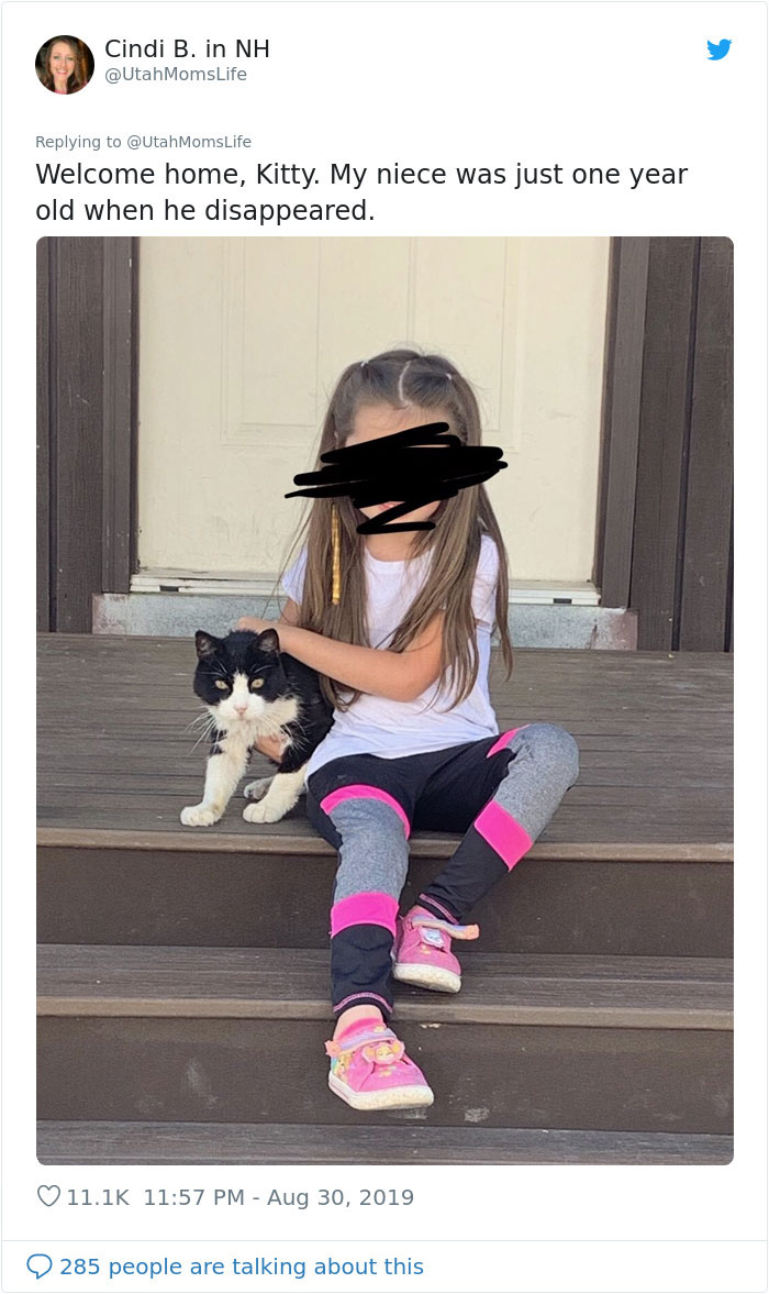 Missing Cat Is Brought Home After 5 Years, Still Recognizes Its Owner Missing Cat Is Brought Home After 5 Years, Still Recognizes Its Owner