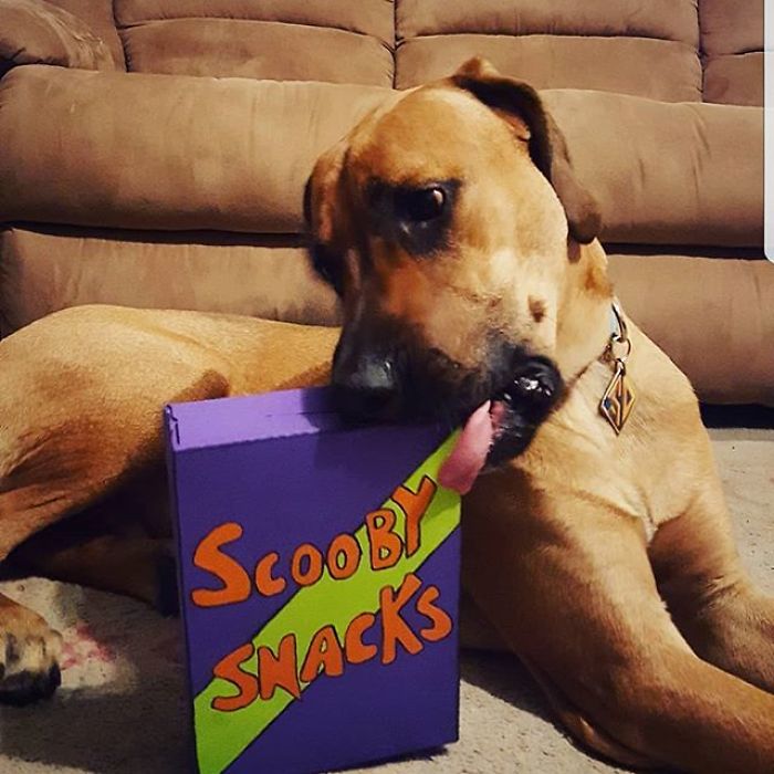 Scooby-Doo-Look-A-Likes