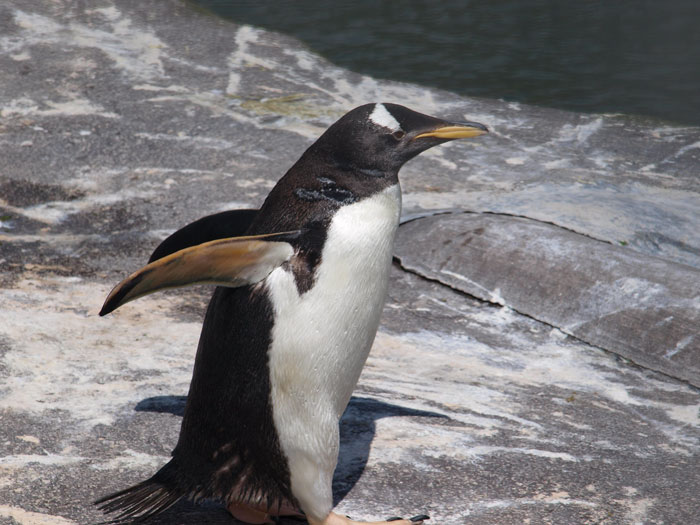 45 People Share The Most Obvious Things They Had To Explain To Fellow Adults