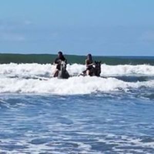 marie_charliehorse avatar