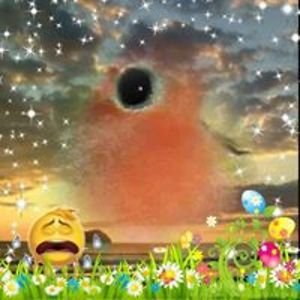 hallmandianne avatar