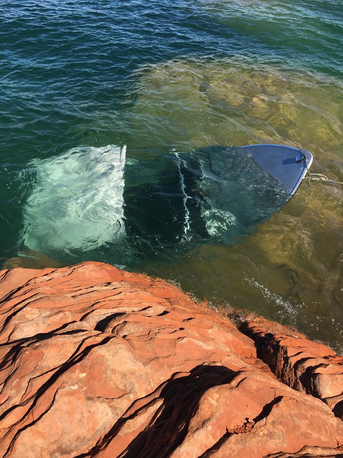 This Was My Dad's Boat On Our 2nd Time Out After Buying It. It Was Also On My Birthday