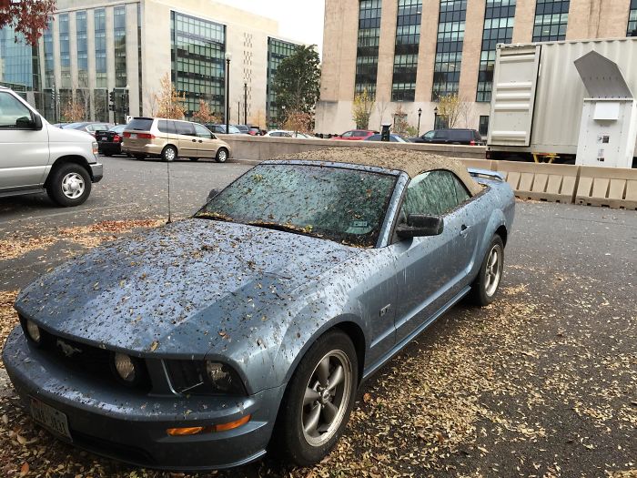 The Best Spot In The Parking Lot Is Empty For A Reason