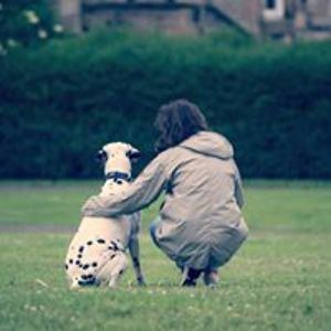 chrissiesharpe avatar