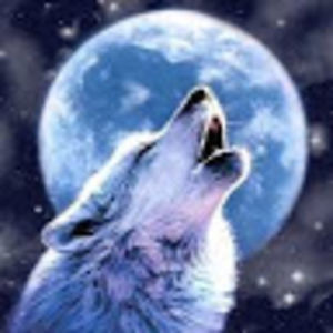 jensenrissmiller avatar