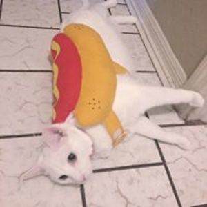 djgarciabravo avatar