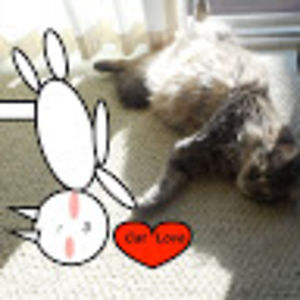 alexismichelle avatar