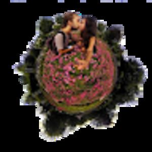 sonalkwatrapaladini avatar