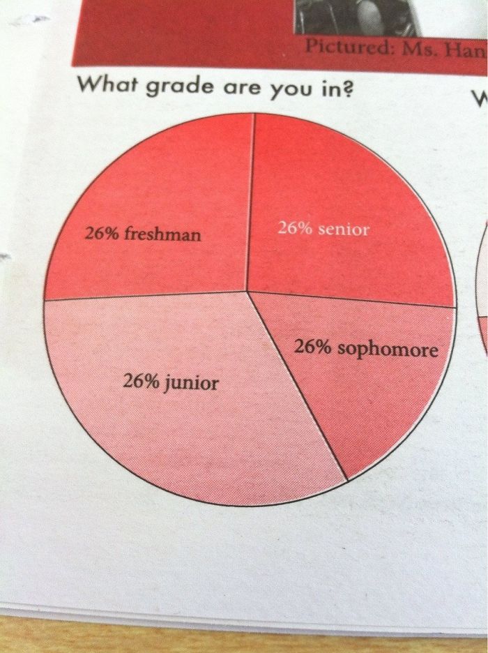 The Pie Graph In My School's Newspaper