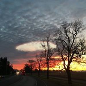 biedermannulm avatar