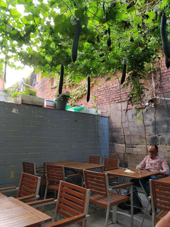 This Thai Restaurant Has A Zucchini Ceiling