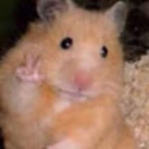 williamcramton avatar