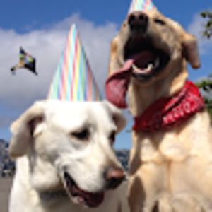 emiliecourage avatar