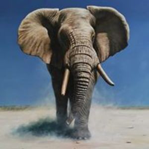 estherjeffery avatar