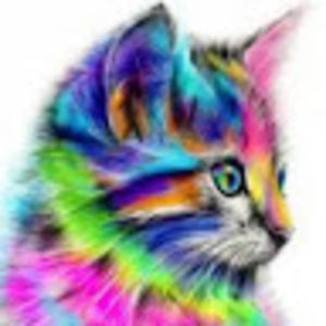 sarahcat avatar