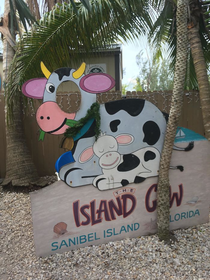 I Don't Think They Understand How This Works