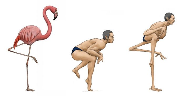 Japanese Illustrator Shows How Humans Would Look If We Had Various Animals’ Bone Structures (14 Pics)