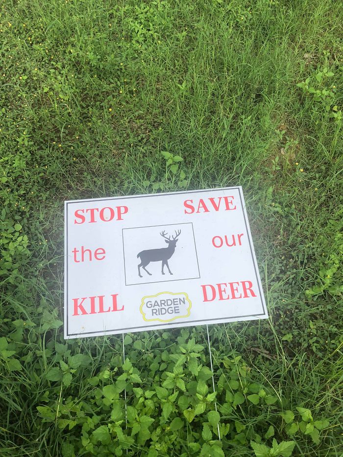 This Sign I Saw In Someone’s Yard