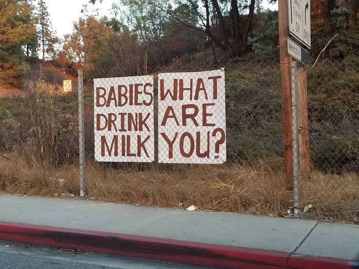 Babies What Drink Are Milk You