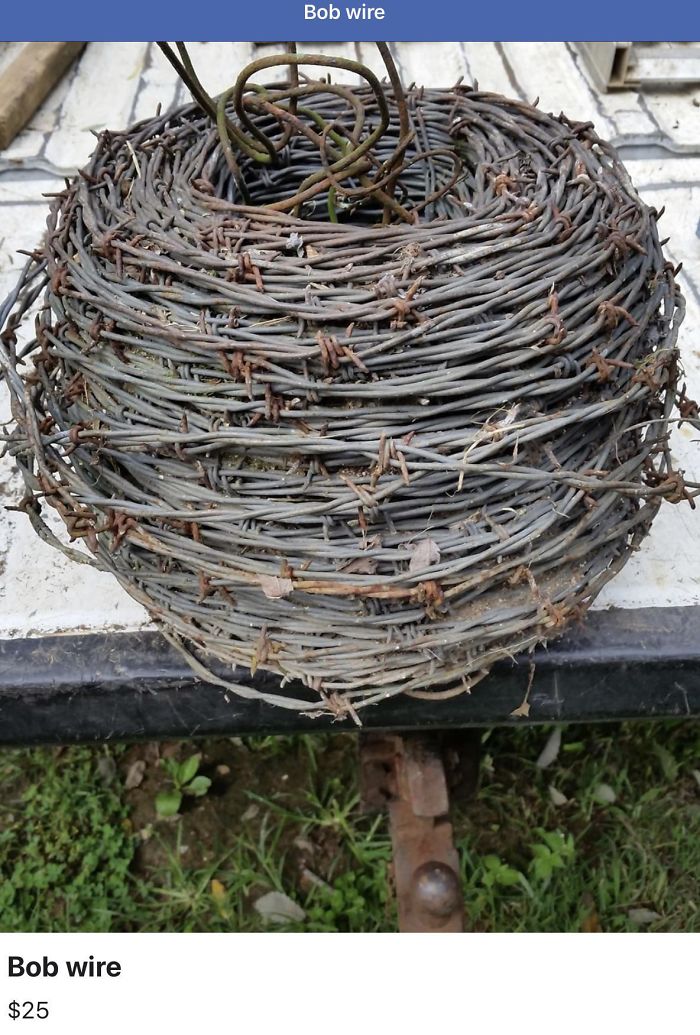 Funny-Mispronounce-Words-Malapropisms