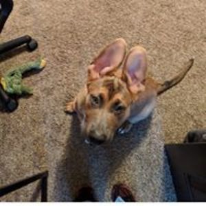 sarah_marrero avatar