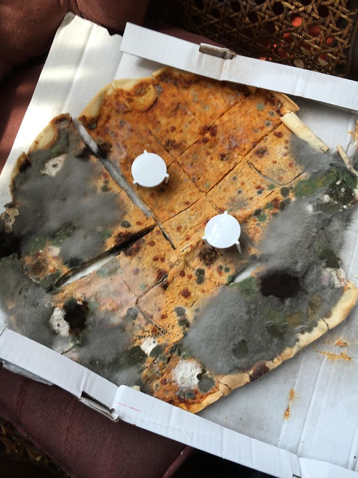 Delivery Drivers At The Pizza Place I Worked At Gave Zero F. Found In A Delivery Bag