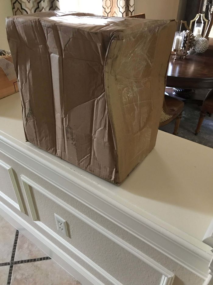 UPS Delivering A Package Like This