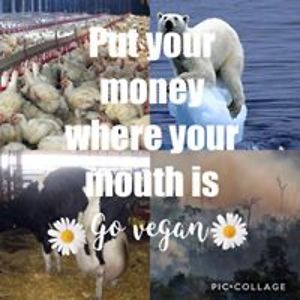 annlabanane1982 avatar