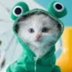 allisondillman avatar