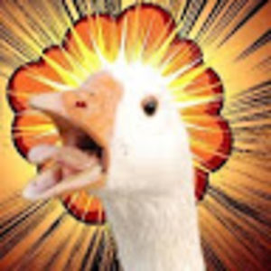 feralgoose avatar