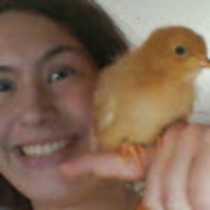 rebeccacarlisle avatar