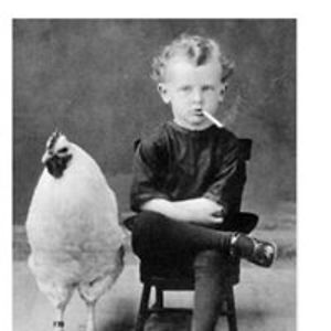 veildarknight avatar