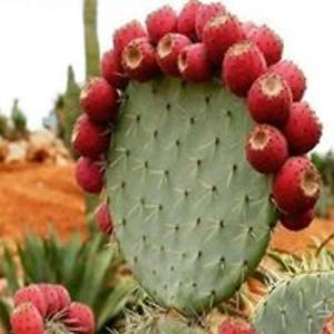 sandraquaglia66 avatar