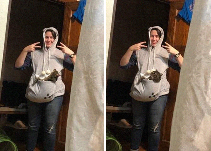 $4 In The Halloween Section And I Leveled Up In Cat Lady