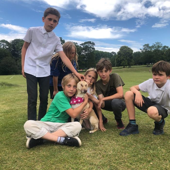 After Being Shot 17 Times, A Pregnant Dog Survives, Finds Forever Home, And Becomes A Registered Therapy Dog After Being Shot 17 Times, A Pregnant Dog Survives, Finds Forever Home, And Becomes A Registered Therapy Dog