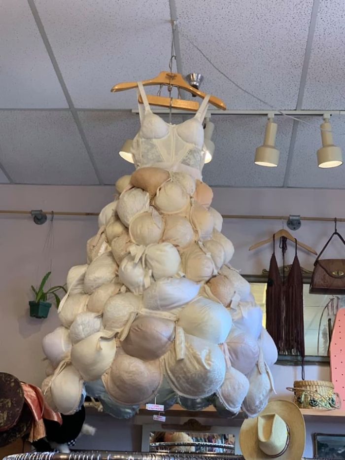 Sizing It Up At Vintage Avenger In Arcata, California