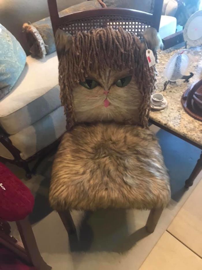 This May Come Home With Me