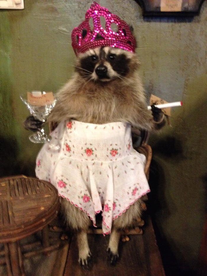 Greatest Single Thing I Have Ever Seen In A Flea Market. She Did Not Come Home With Me