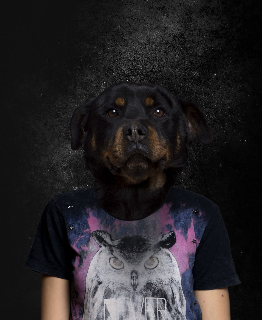 Bulgarian Photographer Creates Unique Photo Collages