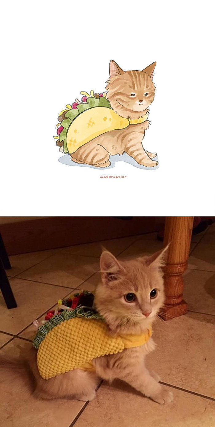 Digital-Watercolor-Cat-Paintings-Watercatlor