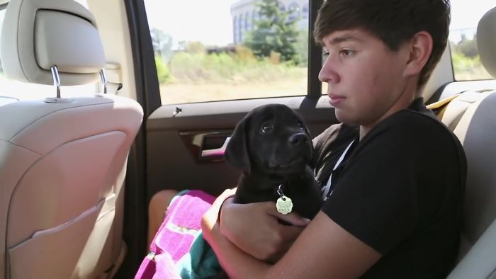This Adorable Netflix Dogumentary Follows 5 Labrador Puppies' Training To Become Pawsome Guide Dogs