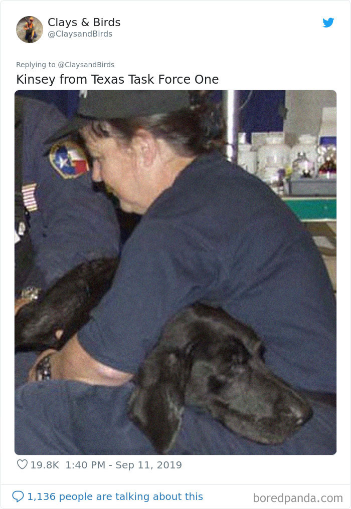 Person Honors The Dog Heroes Of 9/11 That Are Often Overlooked In A Beautifully Sad Twitter Thread Person Honors The Dog Heroes Of 9/11 That Are Often Overlooked In A Beautifully Sad Twitter Thread