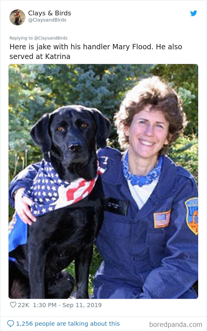 Person Honors The Dog Heroes Of 9/11 That Are Often Overlooked In A Beautifully Sad Twitter Thread Person Honors The Dog Heroes Of 9/11 That Are Often Overlooked In A Beautifully Sad Twitter Thread