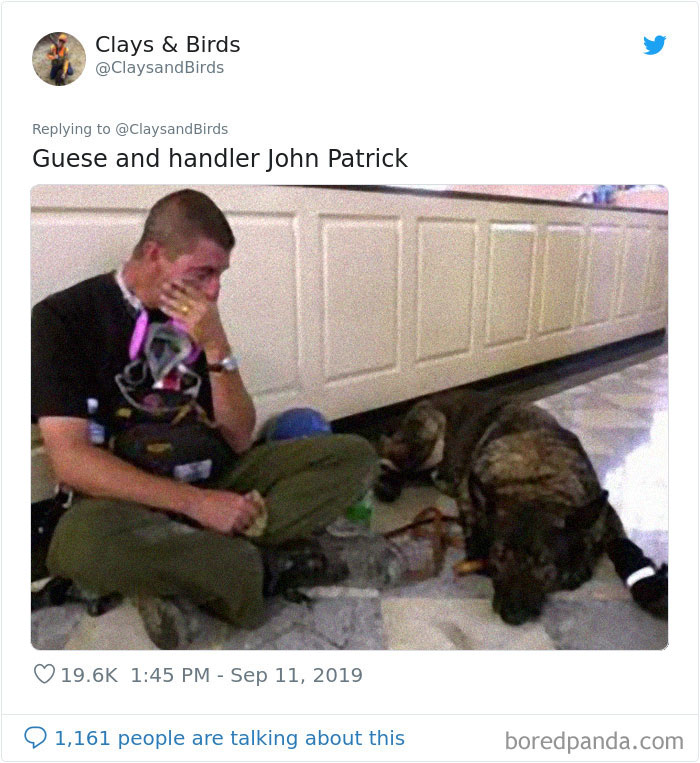 Person Honors The Dog Heroes Of 9/11 That Are Often Overlooked In A Beautifully Sad Twitter Thread Person Honors The Dog Heroes Of 9/11 That Are Often Overlooked In A Beautifully Sad Twitter Thread