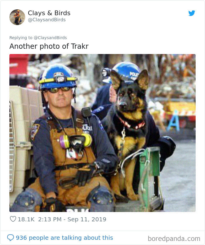 Person Honors The Dog Heroes Of 9/11 That Are Often Overlooked In A Beautifully Sad Twitter Thread Person Honors The Dog Heroes Of 9/11 That Are Often Overlooked In A Beautifully Sad Twitter Thread